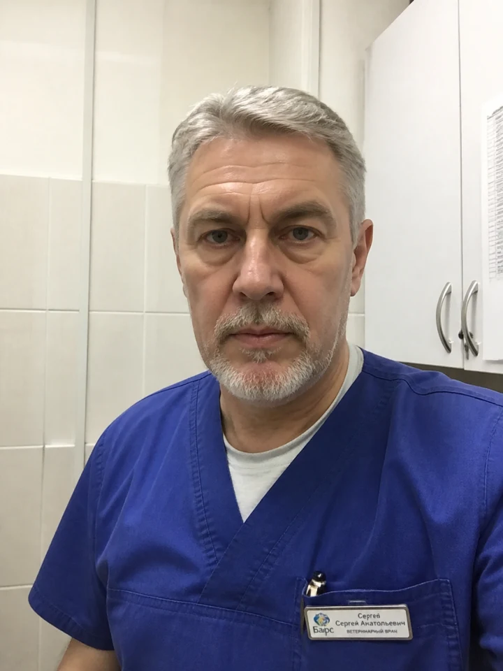 Ковалёв Максим Сергеевич, врач визуальной диагностики
