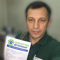 Кузнецов Артем Юрьевич